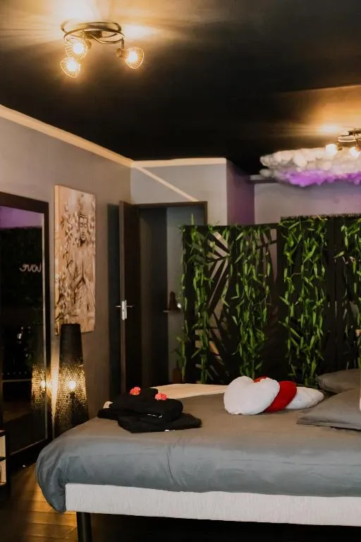 Dreamroom à Tournon-sur-Rhône, photo 2