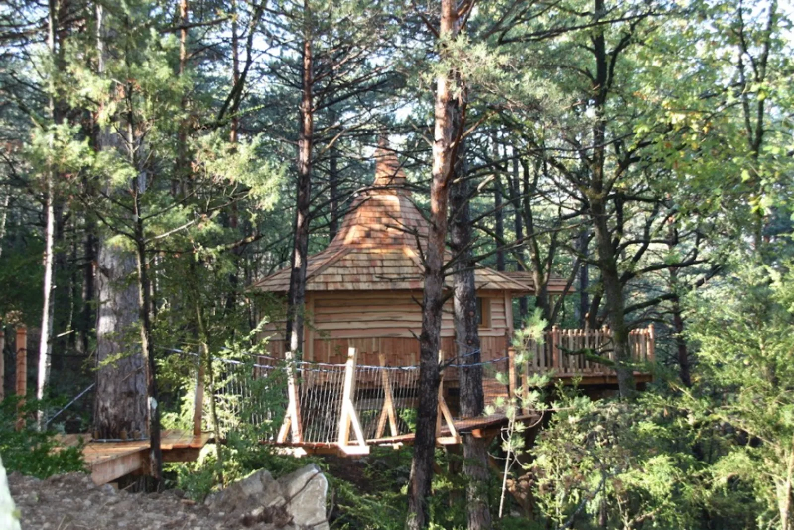 Cabane Lichen à Serres, photo 2