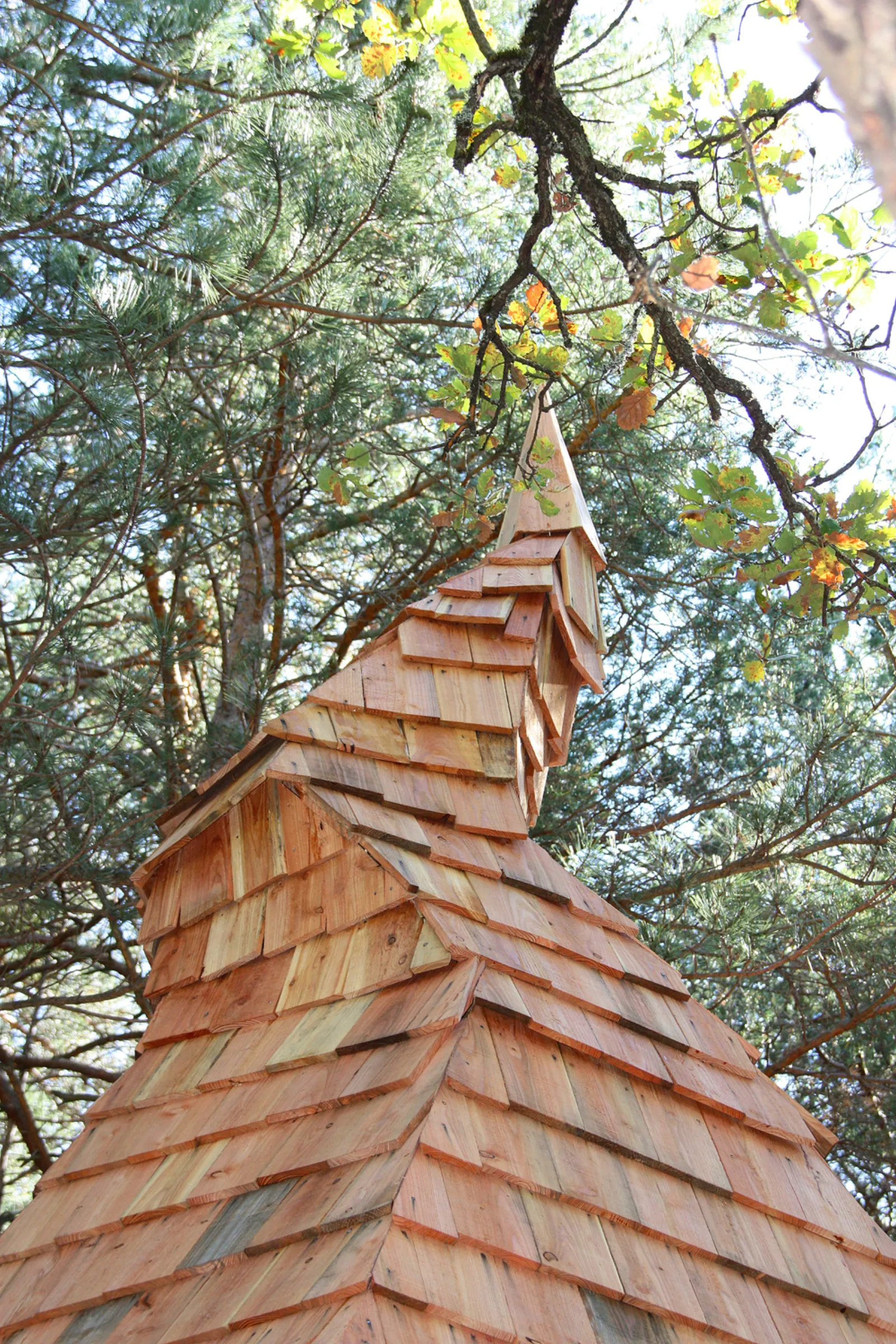 Cabane Lichen à Serres, photo 3