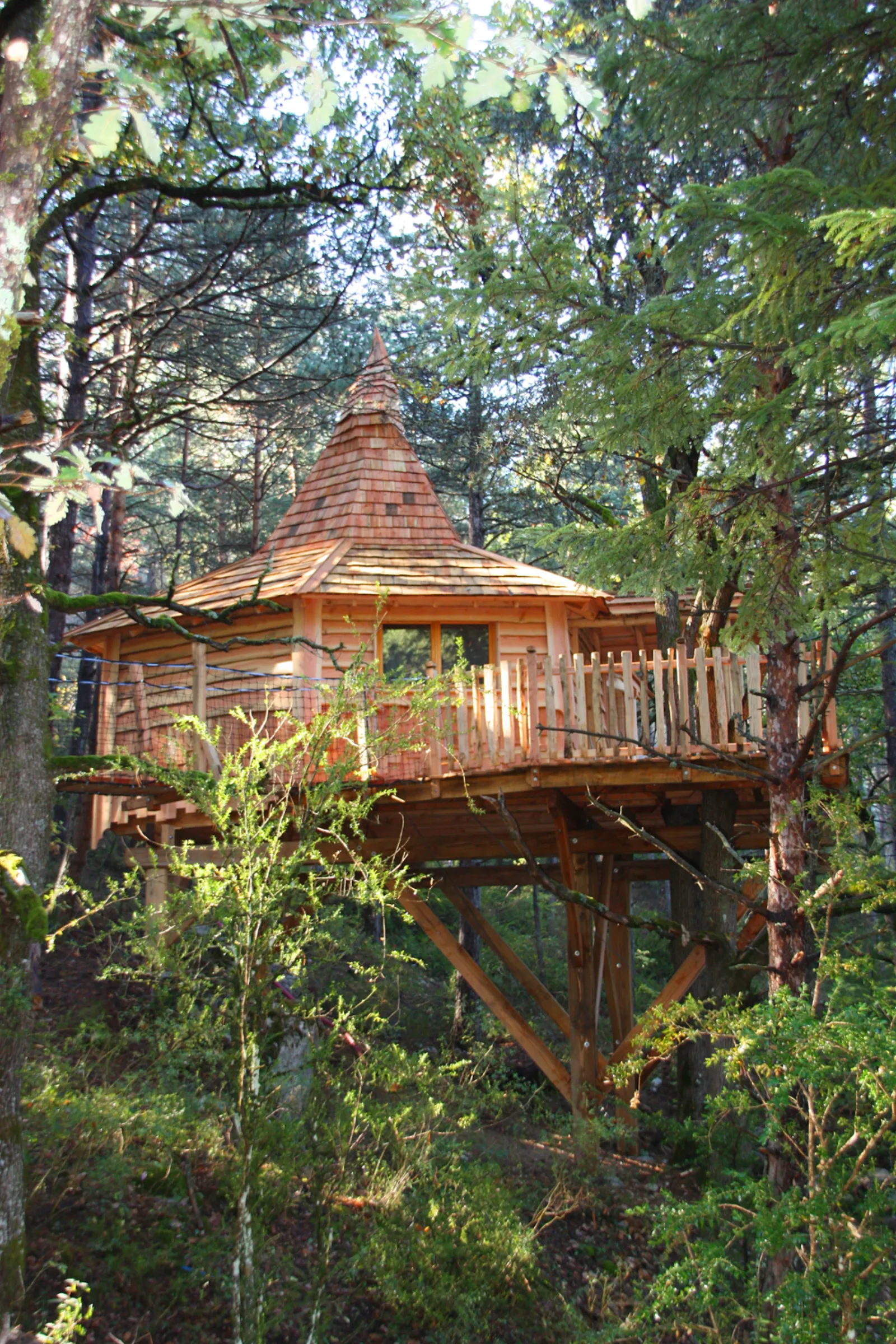 Cabane Lichen à Serres, photo 4