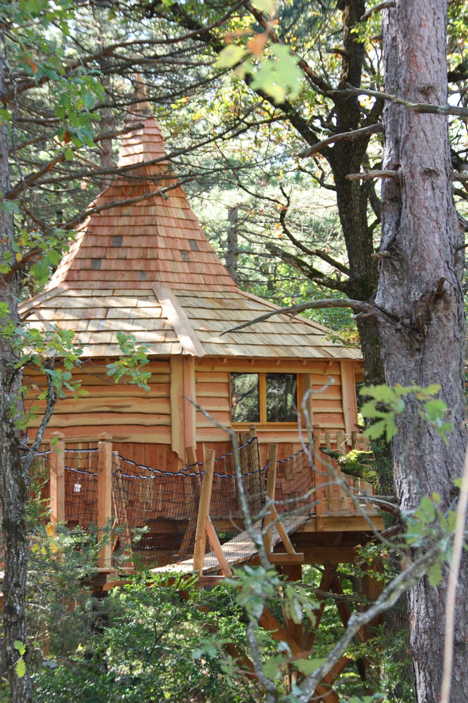 Cabane Lichen à Serres, photo 6