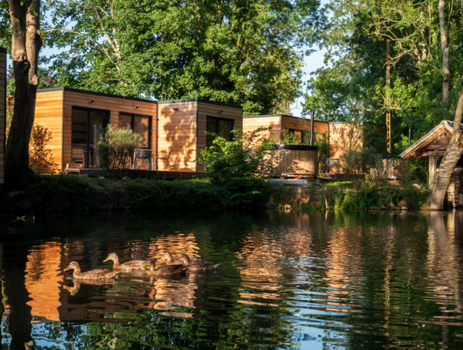 Le Repère Nature Spa à Aubepierre, photo 4