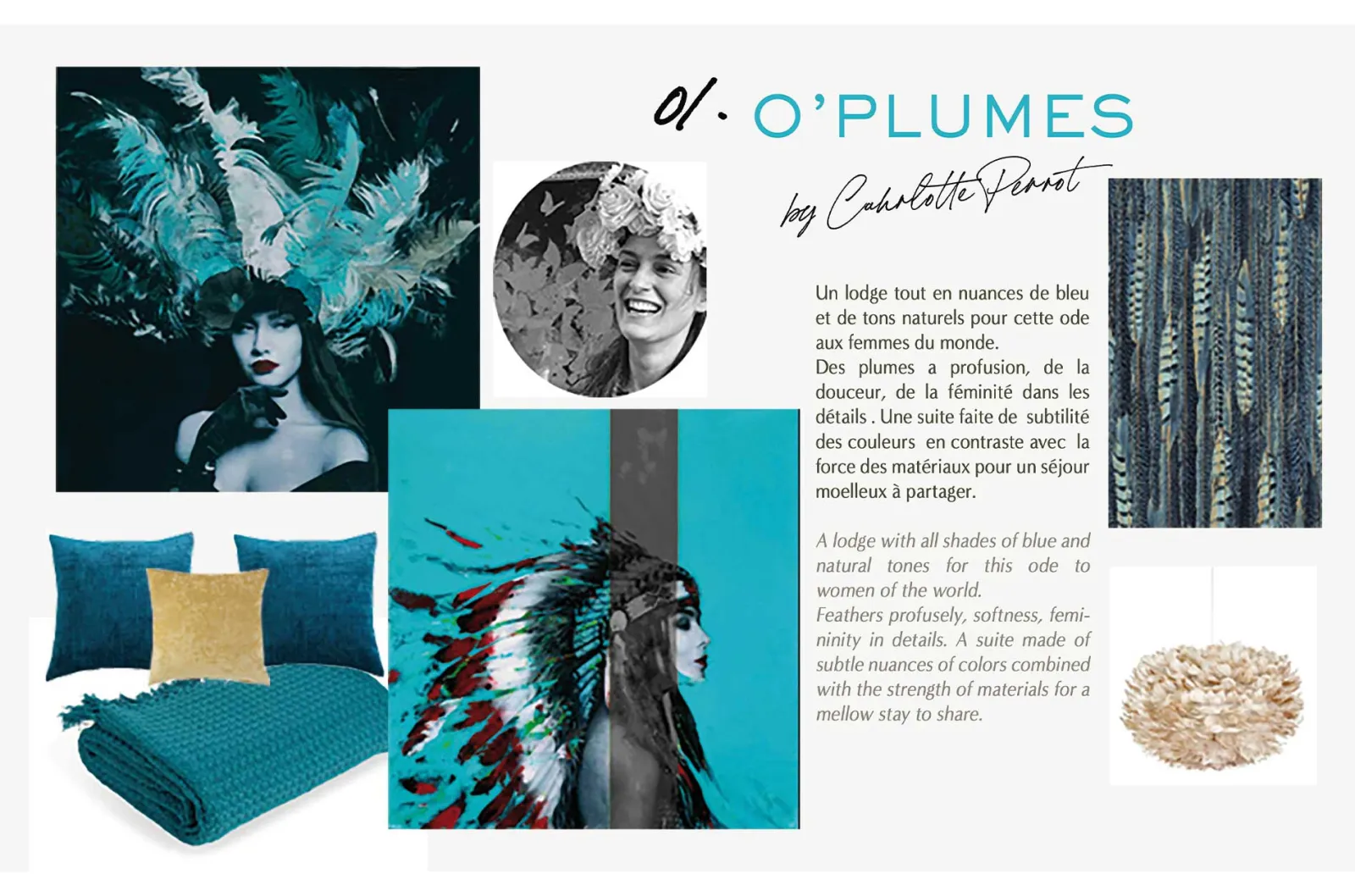 Suite O'Plumes à Esvres-sur-Indre, photo 6