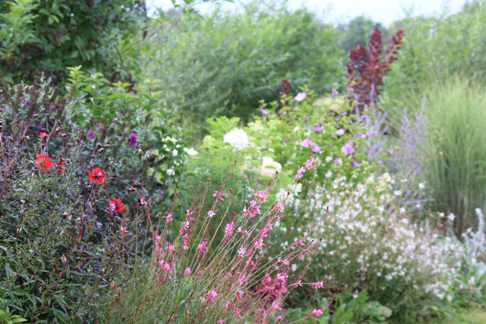 Le Petit Gîte dans notre Jardin à Bonchamp-lès-Laval, photo 3