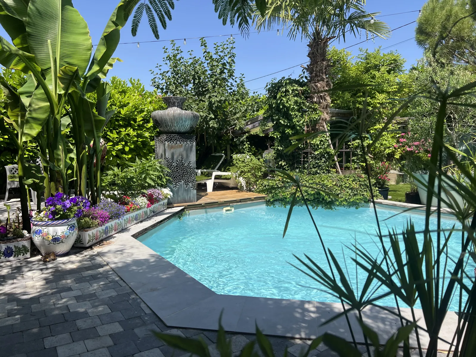 Pool Spa à Niévroz, photo 2