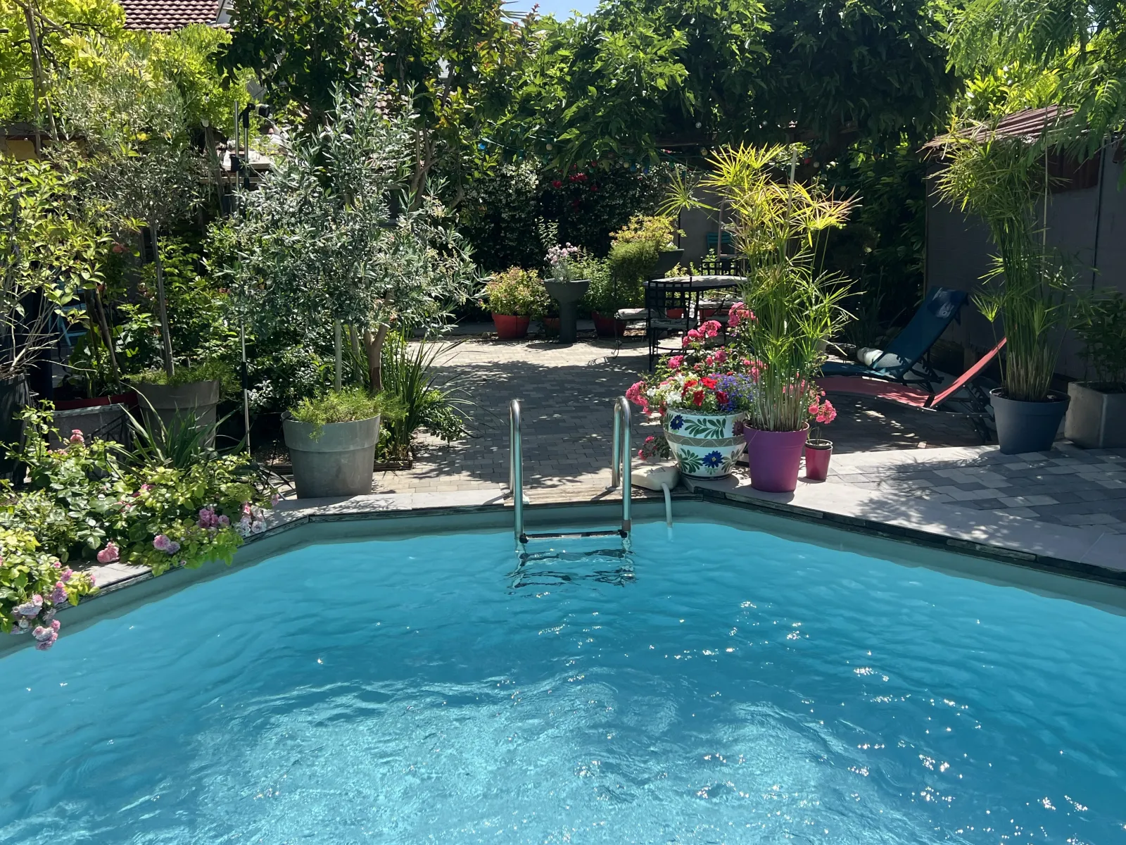 Pool Spa à Niévroz, photo 6