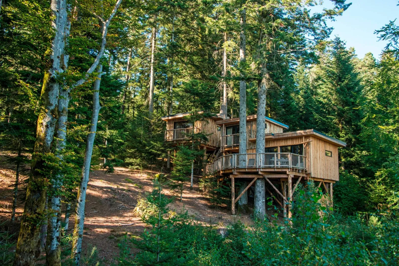 Cabane Deluxe Duo, cabane à Champdray
