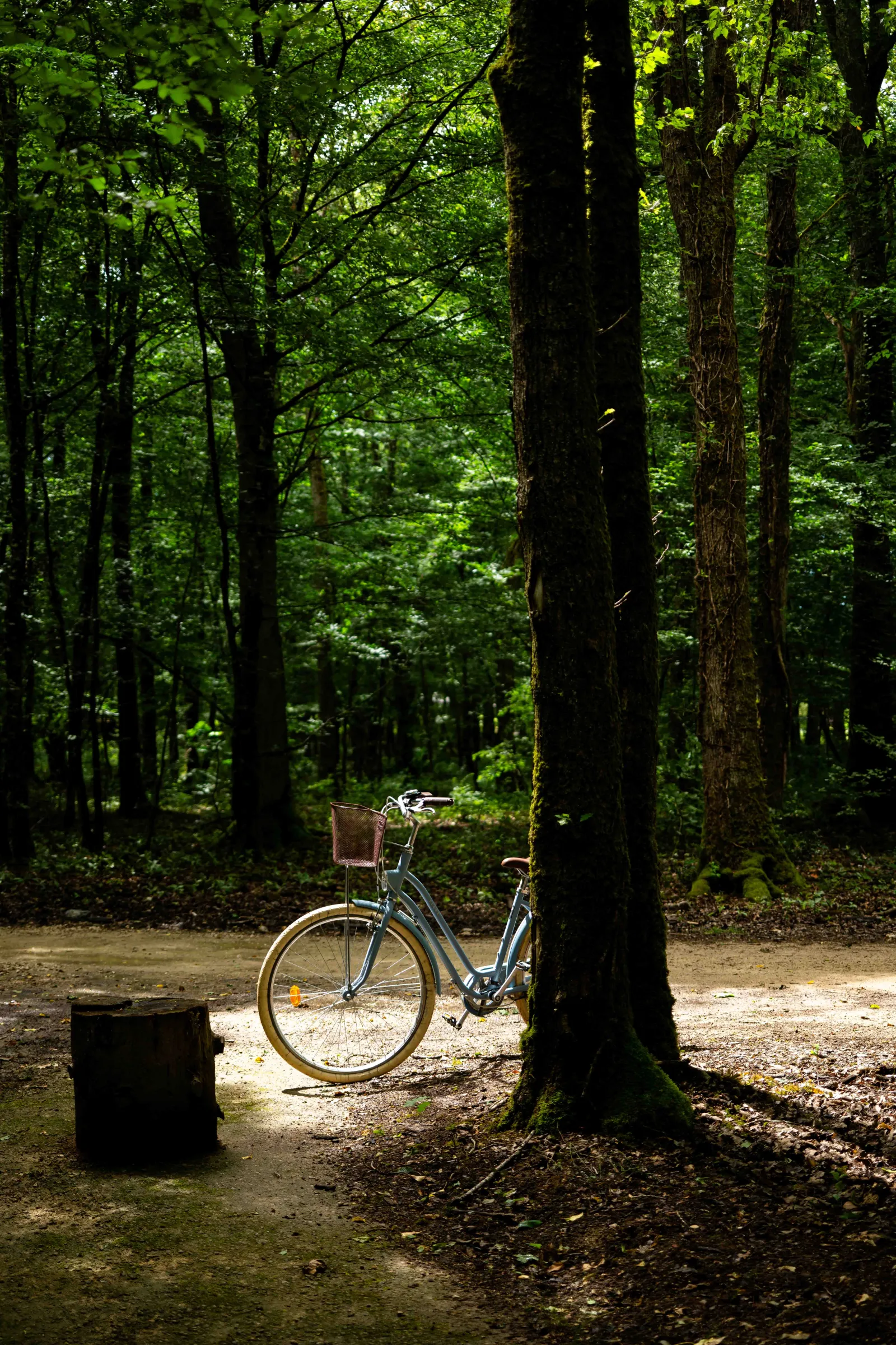 Suite Ride my Bike à Esvres, photo 6