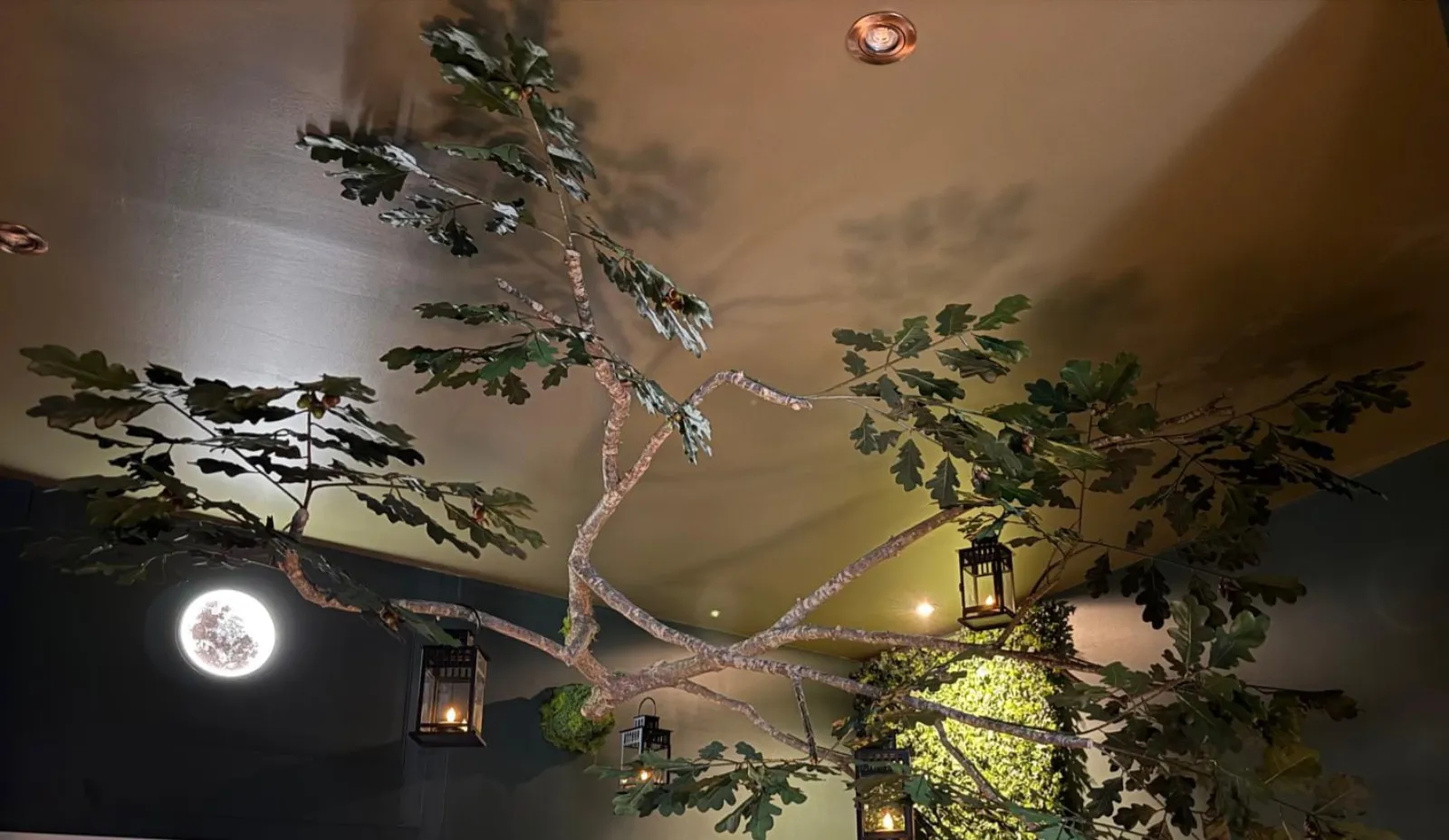 Everwood à Manthelan, photo 3