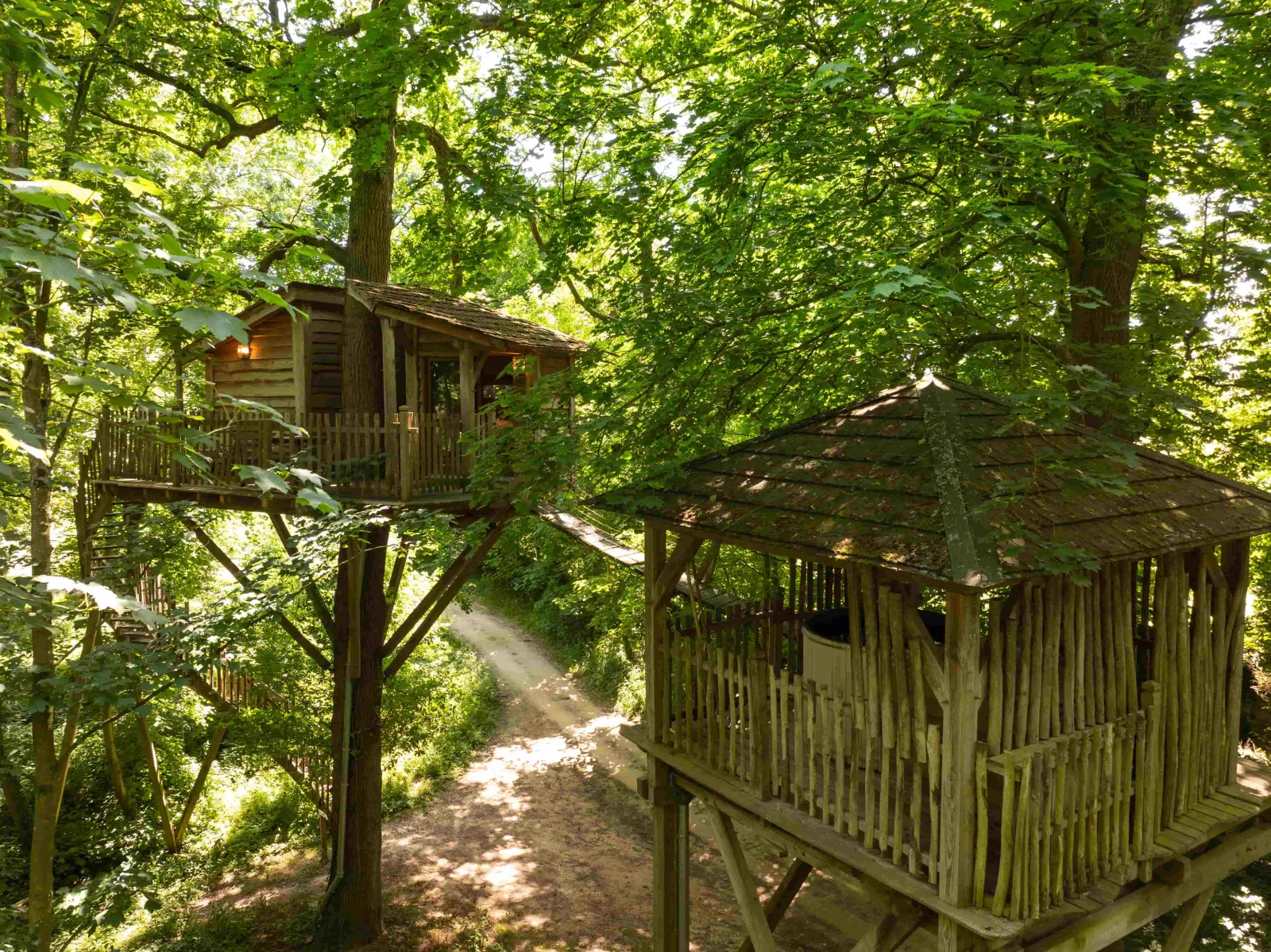 Cabane Duo Spa dans les Arbres à Raray, photo 6