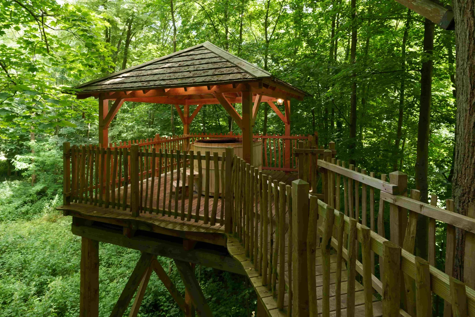 Cabane Duo Spa dans les Arbres à Raray, photo 7