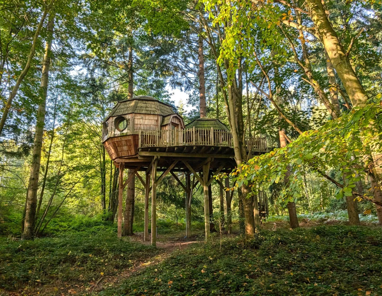 Cabane Duo Spa sur Pilotis à Raray, photo 2