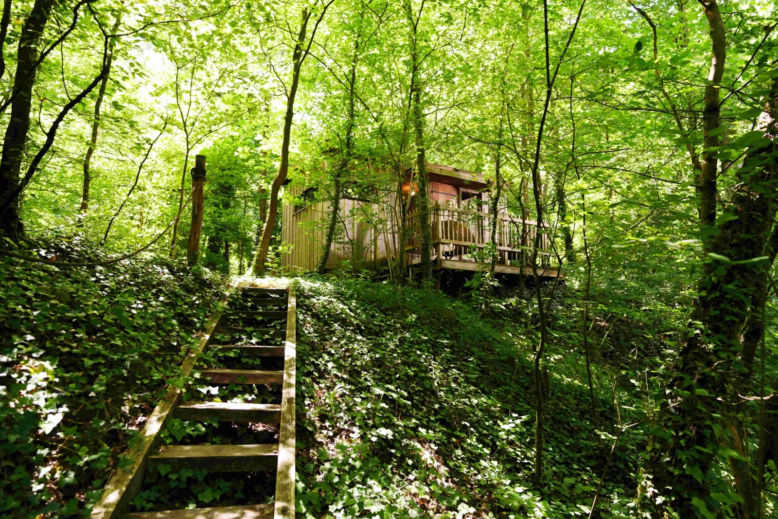 Cabane Duo de plain-pied à Saint-Léger-aux-Bois, photo 3