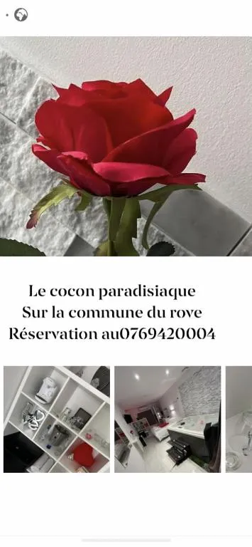 Love Room du Logis Neuf à Le Rove, photo 4