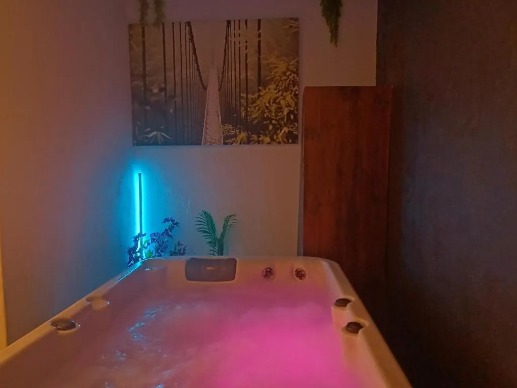 Maisonnette jacuzzi à Saint-Mitre-les-Remparts, photo 3