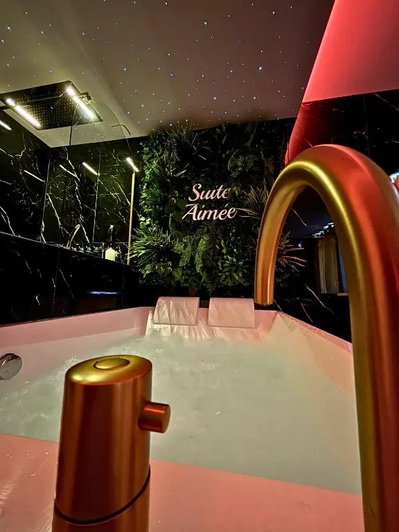 La Suite Aimée à Angoulême, photo 4