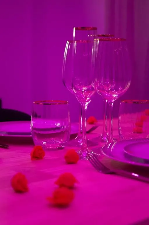 Love Room du Vivier à Royan, photo 7