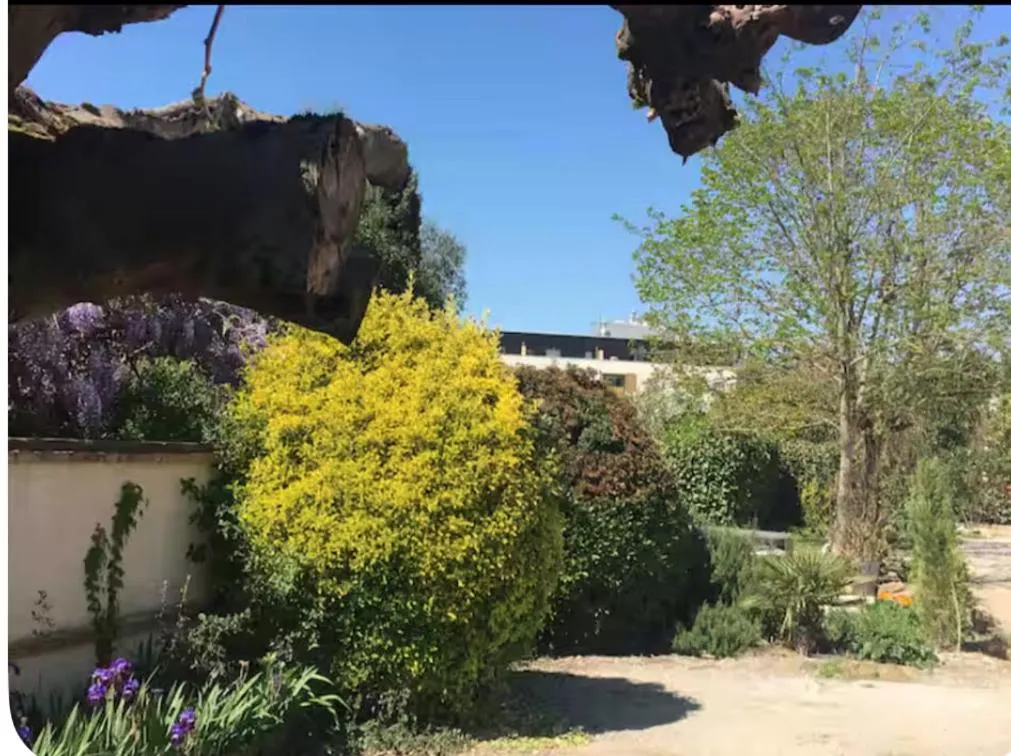 Le Grand Selve à Launaguet, photo 6