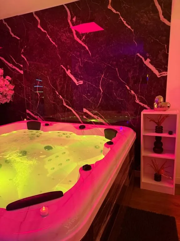 Maison Dream Spa à Portet-sur-Garonne, photo 3