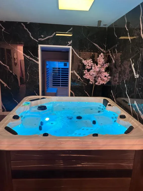 Maison Dream Spa à Portet-sur-Garonne, photo 6