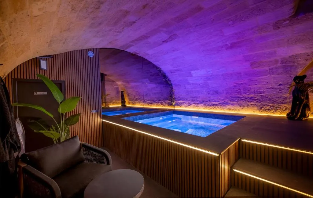 Suite de la Cave Voûtée, suite avec spa à Bordeaux