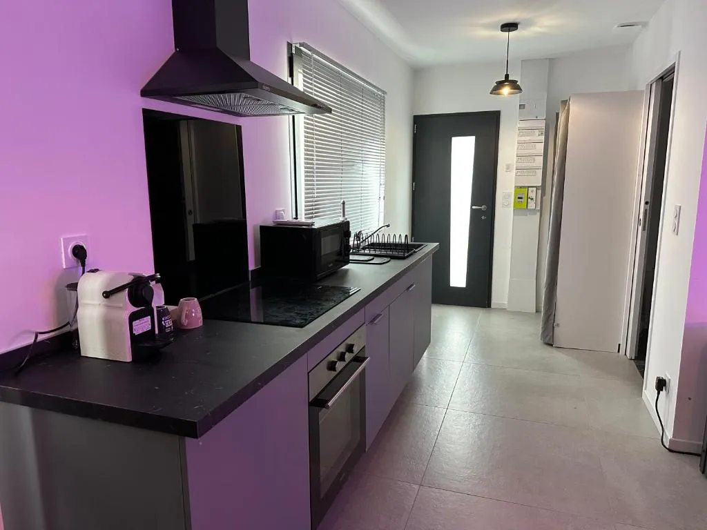 Jacuzzi et Cinéma Privé à Pessac, photo 4