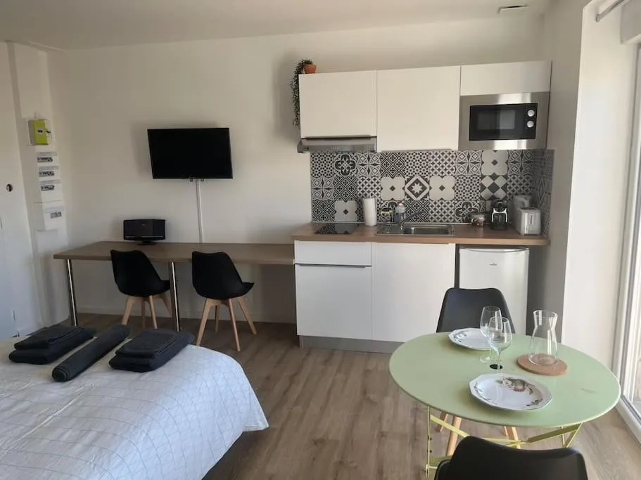 Studio Wagner à Chasse-sur-Rhône, photo 4