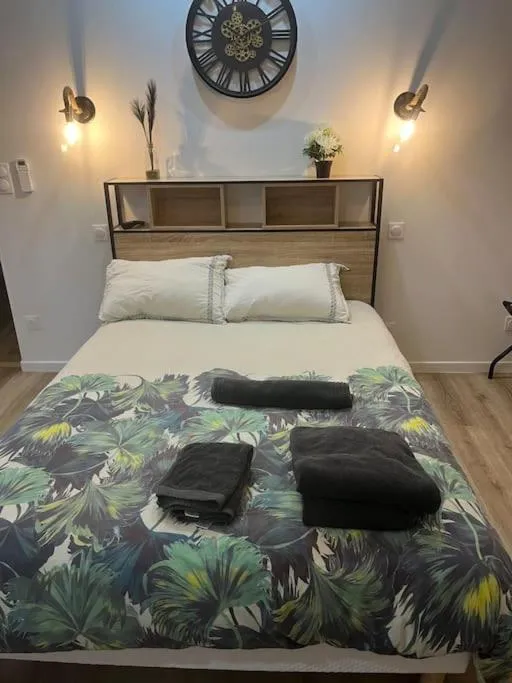 Studio Wagner à Chasse-sur-Rhône, photo 7