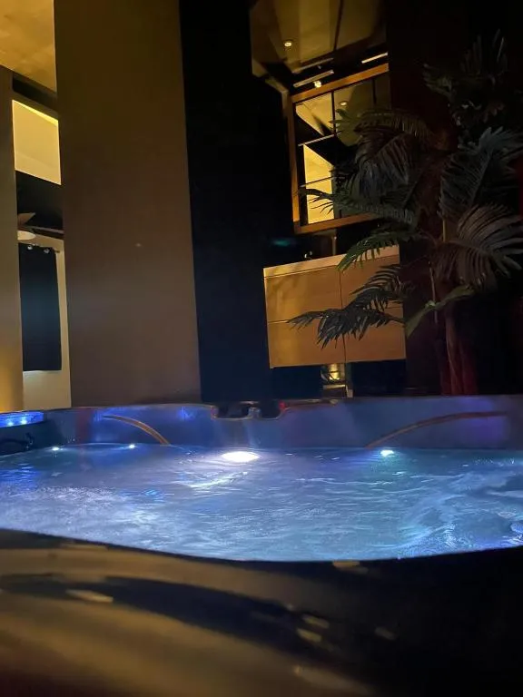 Suite Sauna Jules Vallès à Saint-Martin-d'Hères, photo 4