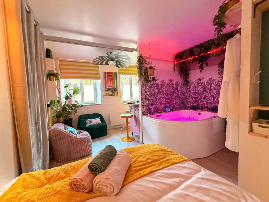 Suite Hanamori à Sassenage, photo 2