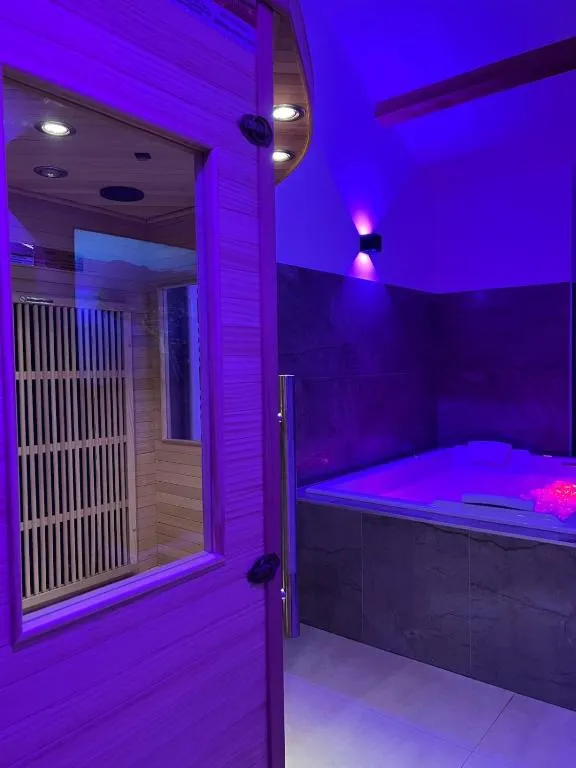 Secret et Jacuzzi à Vienne, photo 2