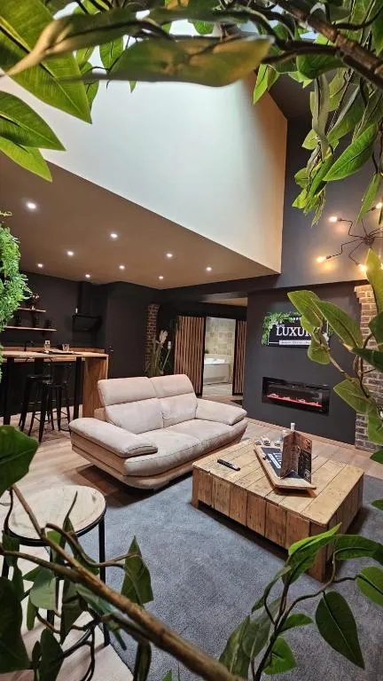 Luxury Loft Vendôme à Vendôme, photo 2