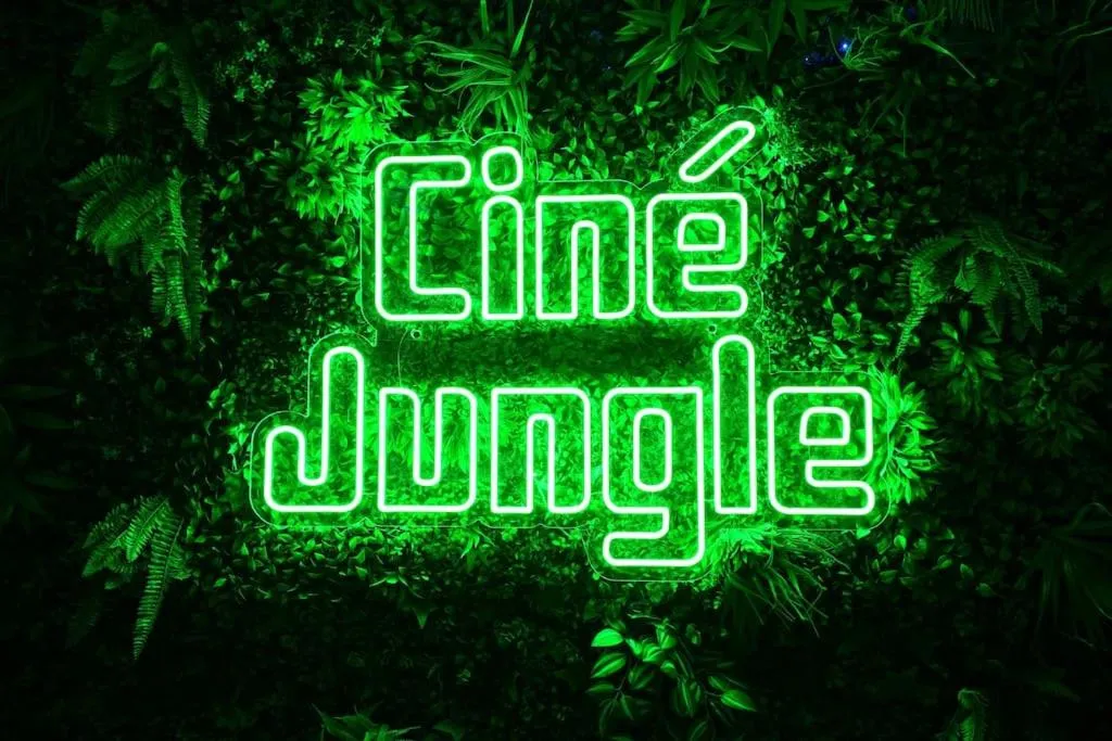 Ciné Jungle Duplex à Roanne, photo 4