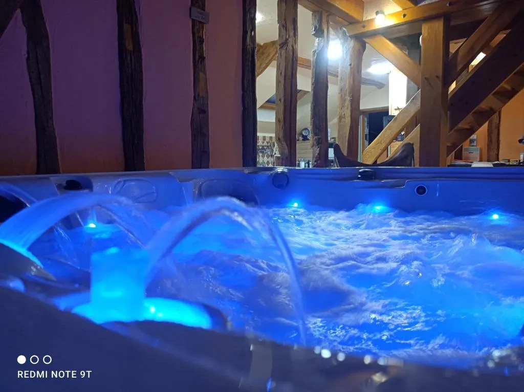 La Villa De Calme et d'Eau, suite avec spa à Ladon
