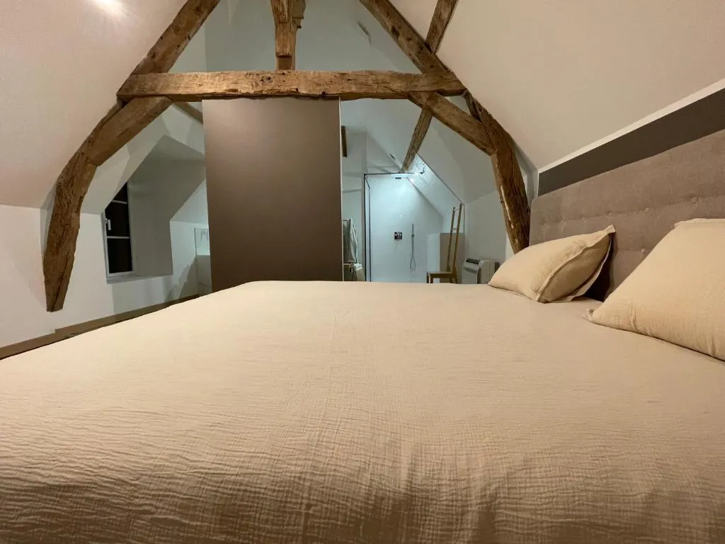 Le Gîte Balnéo de Montizeau à Lailly-en-Val, photo 2