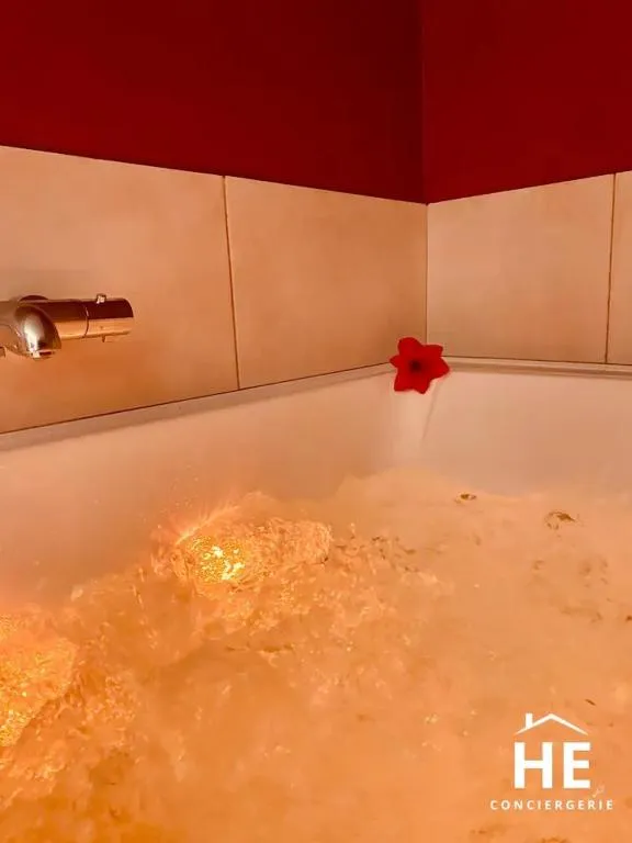 La Suite Hibiscus à Montargis, photo 3