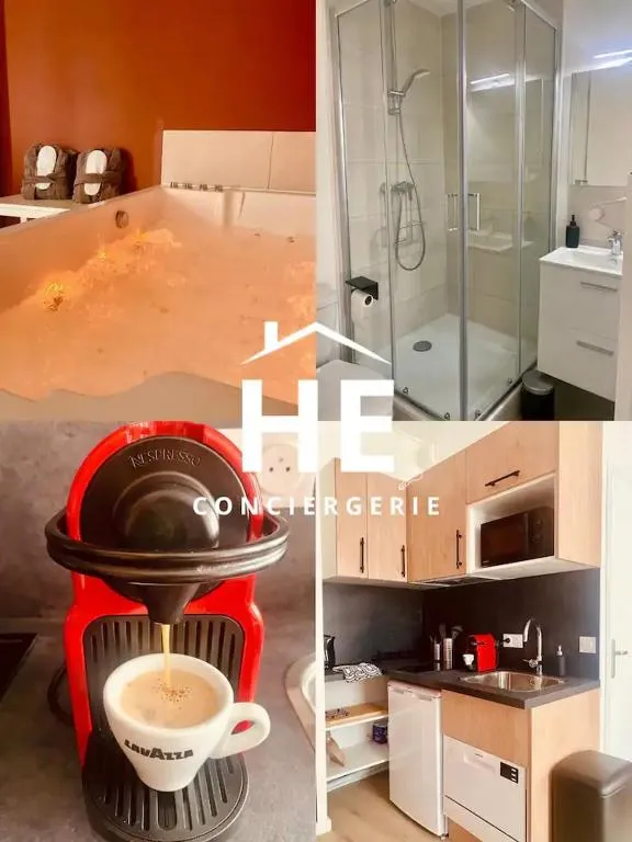 La Suite Hibiscus à Montargis, photo 7