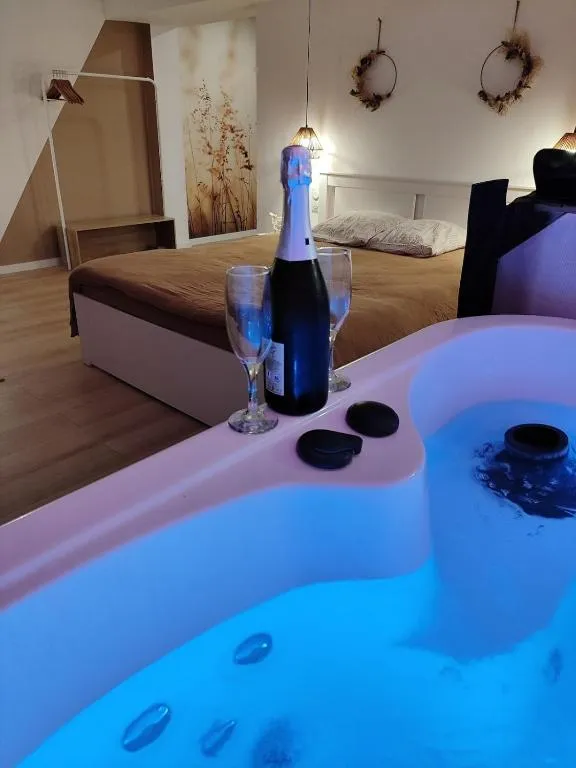 L'Appartement Gemmois Jacuzzi à Sainte-Gemmes-sur-Loire, photo 2