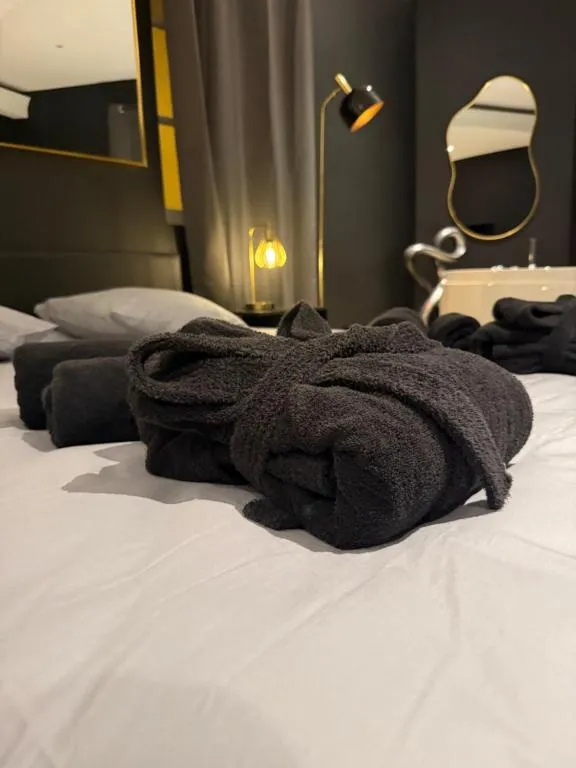 La Suite Miroir à Châlons-en-Champagne, photo 7