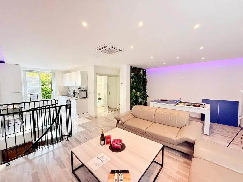 Loft Luxe Vaucouleurs à Nancy, photo 4