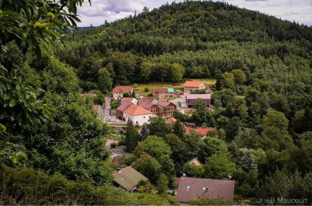 Gîte spa du lac à Pierre-Percée, photo 7