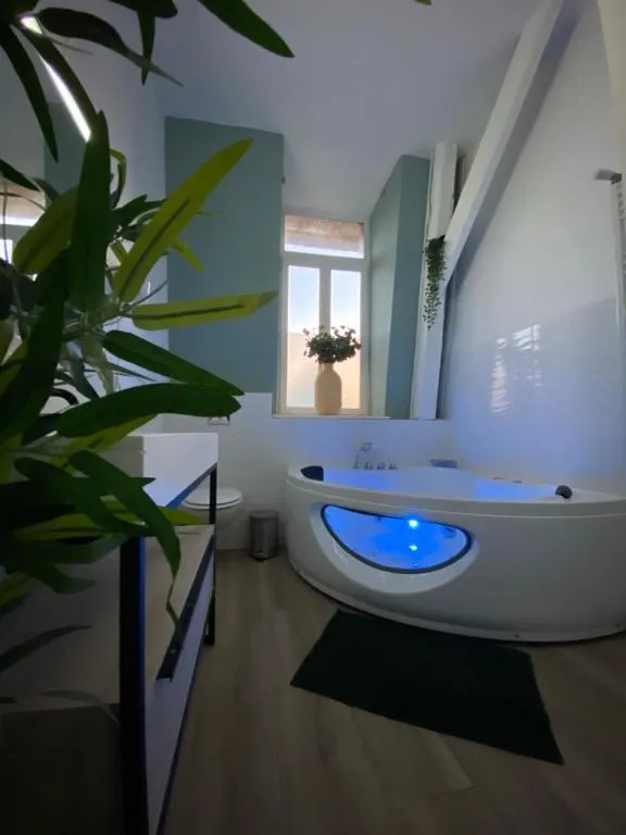 Capsule Zen billard à Roubaix, photo 3