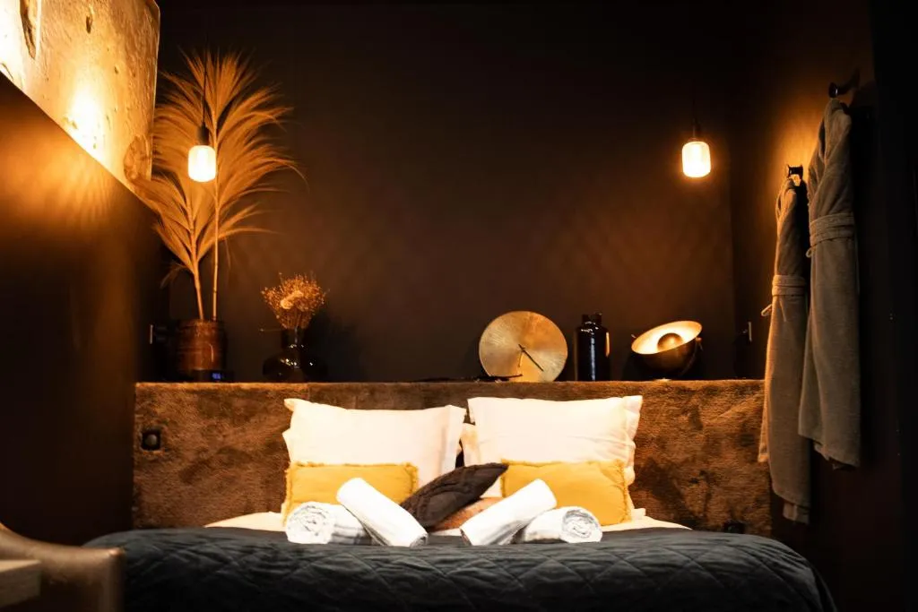 Love Room Shelby à Bordeaux, photo 6