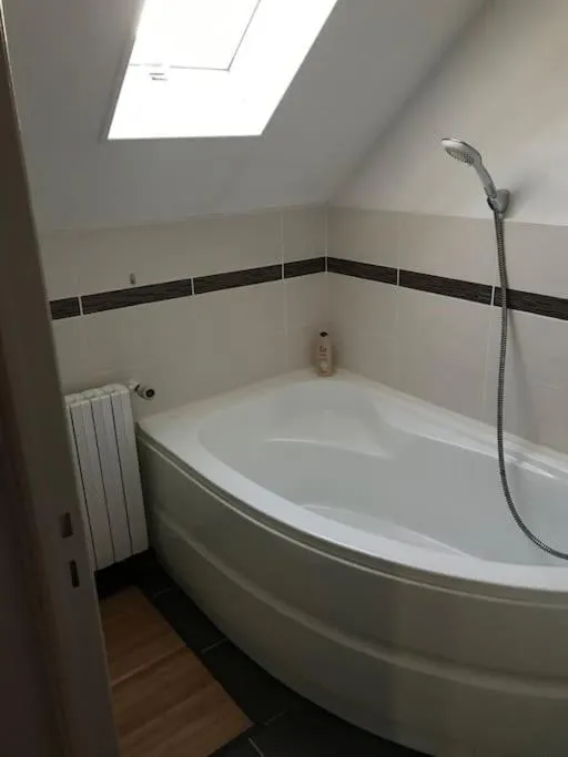 La Maison Jacuzzi à Saint-Aubert, photo 3