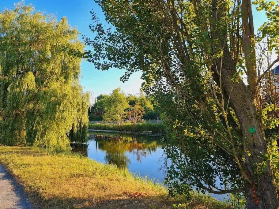 A Fleur de Spa à Coulogne, photo 7