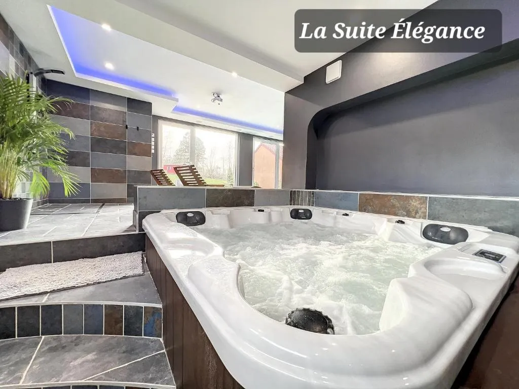 Suite Spa et Piscine de Louches à Louches, photo 3