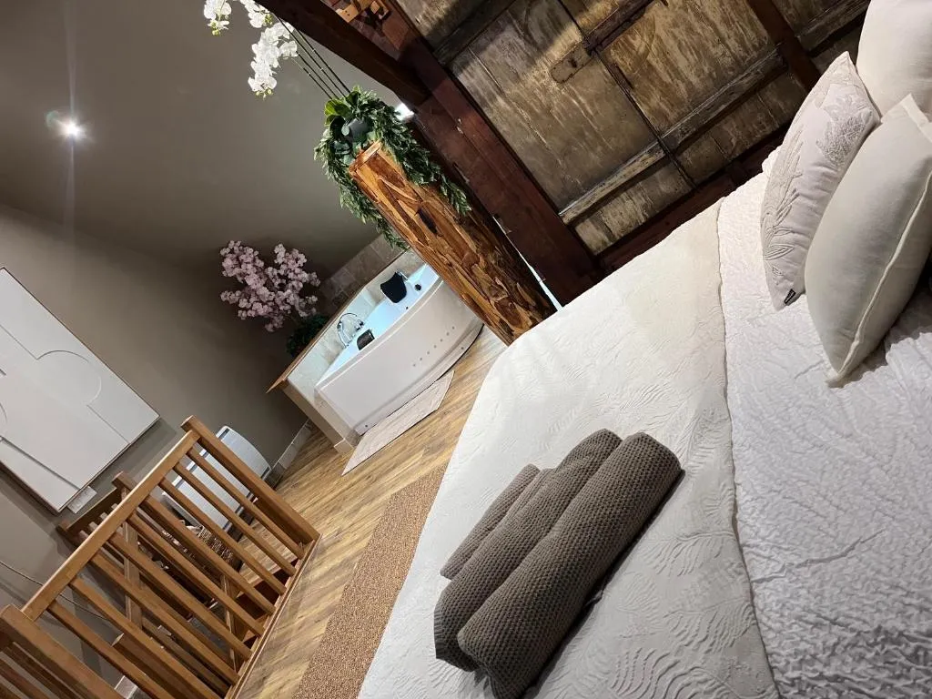 Suite Zen à Saint-Omer, photo 4