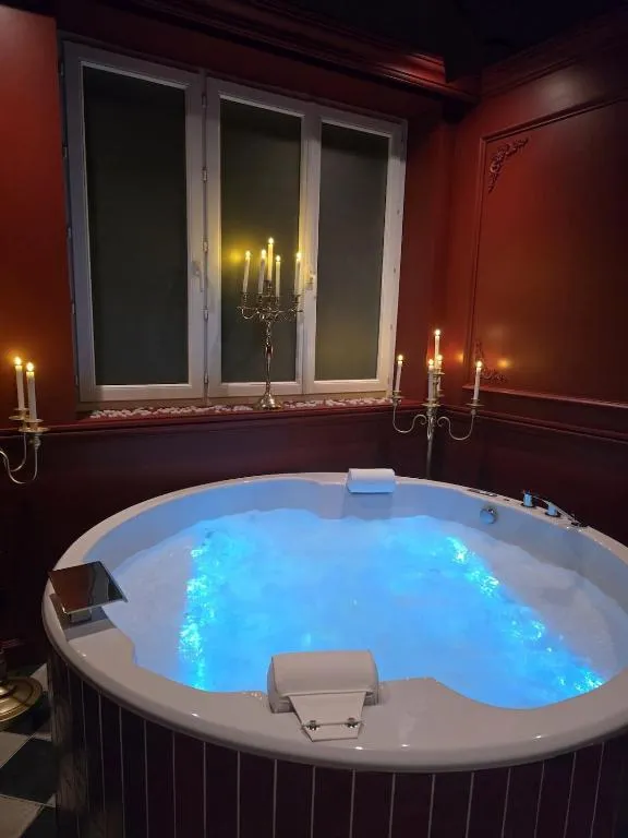 Suite Elisabeta à Chamalières, photo 3