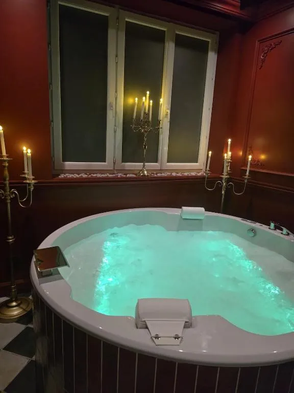 Suite Elisabeta à Chamalières, photo 7