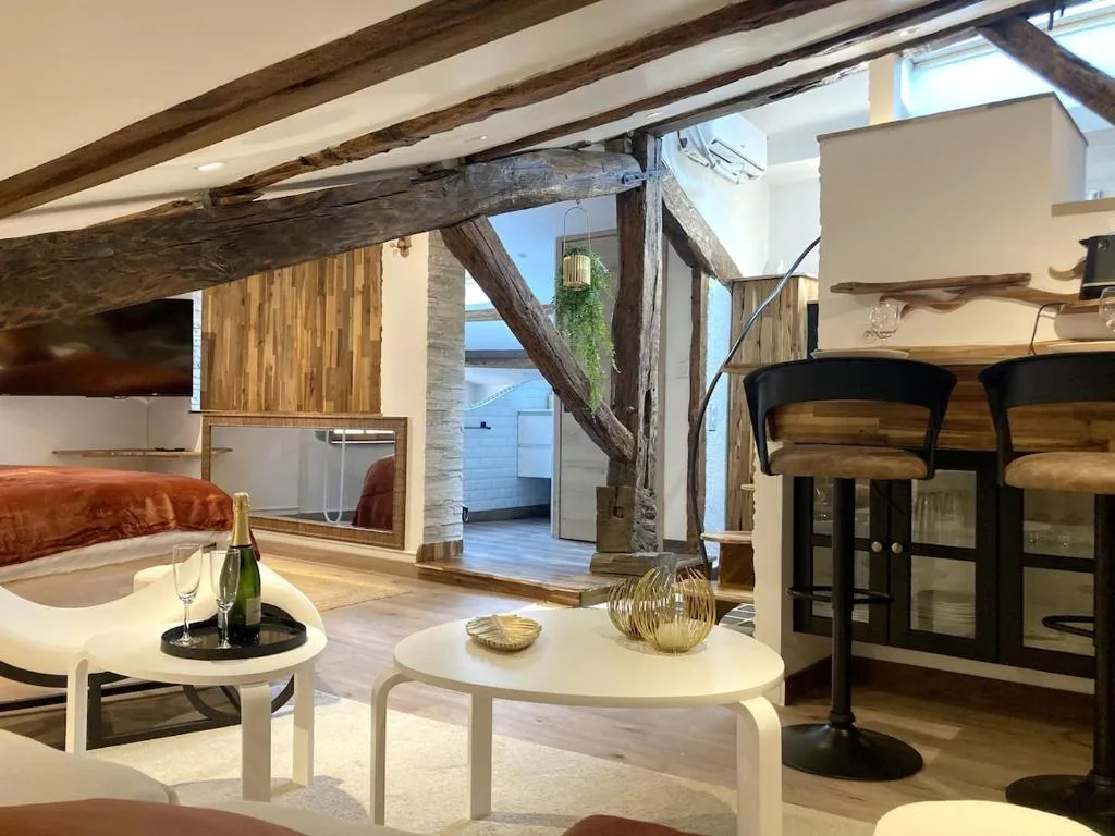 Loft Balnéo de Riom à Riom, photo 4